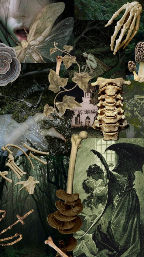 they found some bones in the woods, and were not sure if they’re yours…#wallpaper #aesthetic #eerie Eerie Aesthetic, Wallpaper Aesthetic, In The Woods, Aesthetic Wallpaper, Aesthetic Wallpapers, Bones, Wood, Art