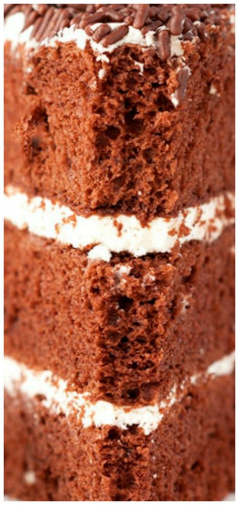 Chocolate Chiffon Cake with Whipped Cream Frosting ~ Chocolatey chiffon cake that’s light as air frosted with whipped vanilla cream that’s equally light and fluffy! Cake With Whipped Cream Frosting, Chocolate Chiffon Cake, Fluffy Chocolate Cake, Cake With Whipped Cream, Whipped Cream Frosting, Decadent Cakes, Delicious Cake Recipes, Cream Frosting, Vanilla Frosting