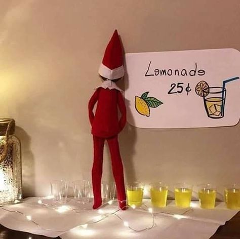 Elf on the shelf pee lemonade meme Elf On The Shelves, Elf Ideas Easy, Bad Elf, Awesome Elf On The Shelf Ideas, Elf Activities, Xmas Elf, Elf Antics, Elf Fun, Homemade Christmas Decorations