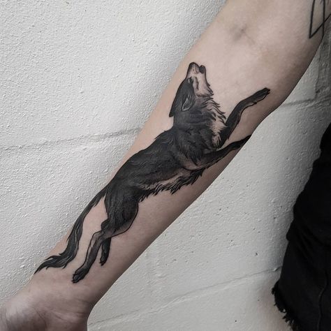 Crow Tattoos, Coyote Tattoo, Grey Ink Tattoos, Japanese Tattoo Symbols, Tattoos Infinity, Saved Tattoo, Choosing Me, Crow Tattoo, Strength Tattoo