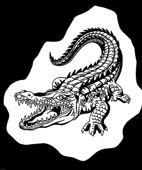 Old School Crocodile Tattoo, American Traditional Gator Tattoo, Alligator Skeleton Tattoo, American Traditional Crocodile Tattoo, American Traditional Alligator Tattoo, Traditional Crocodile Tattoo, Crocodile Tattoo Design, Owl Feather Tattoos, Crocodile Drawing