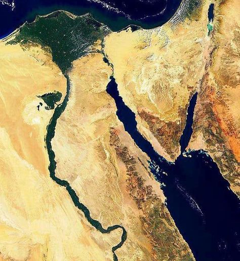 Galaxy Facts, Red Sea Egypt, Rosé Coachella, Sinai Peninsula, Egypt Map, The Nile River, Egyptian Beauty, Geography Map, The Red Sea