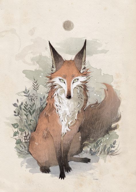 Rorschach Art, Fox Sketch, Creepy Animals, Small Creatures, Fox Drawing, Fox Painting, Fox Illustration, As Humans, Canine Art