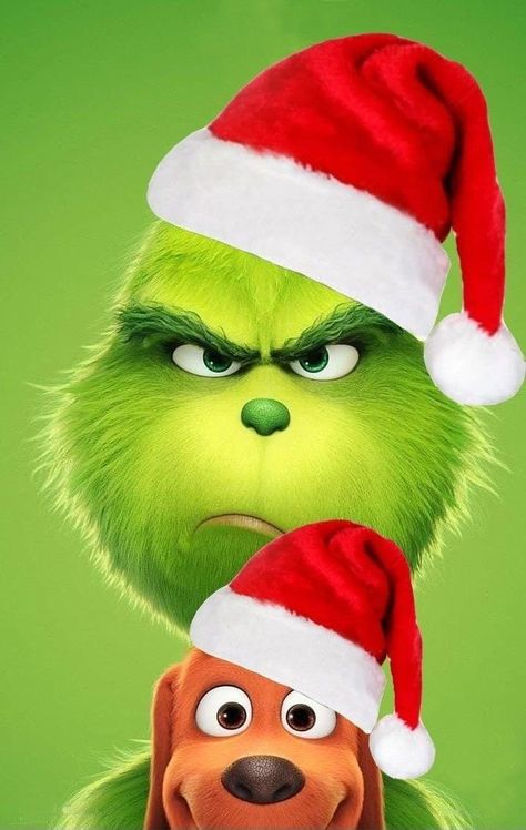 Iphone Wallpaper Grinch, Immagini Grinch, Grinch Wallpaper, Funny Christmas Wallpaper, Grinch Images, Christmas Wallpaper Iphone Cute, The Grinch Movie, Grinch Christmas Party, Regnul Animal