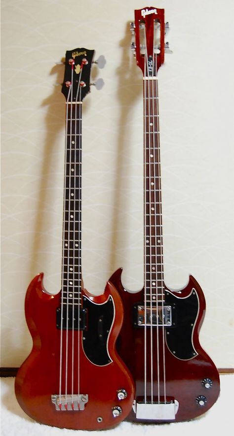 Sg Bass Guitar, Short Scale Bass Guitar, Custom Bass Guitar, Gibson Sg Standard, Guitar Exercises, Gibson Electric Guitar, Learning Guitar, Gibson Sg, Bass Amps