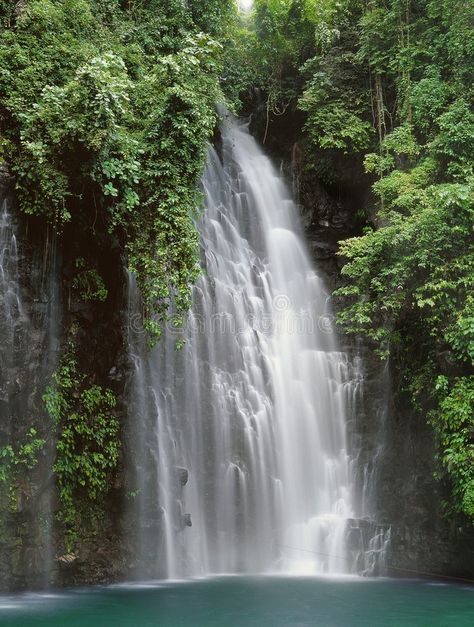 Wilderness Waterfalls. Beautiful waterfalls near Bislig, Philippines , #ad, #Beautiful, #Waterfalls, #Wilderness, #Philippines, #Bislig #ad Tinago Falls, Fall Images, Yosemite Falls, Victoria Falls, Wide World, Beautiful Waterfalls, Yosemite National Park, Of The Earth, Unesco World Heritage Site