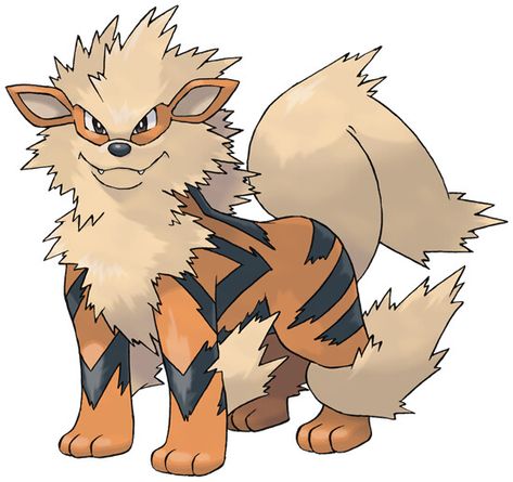 Arcanine official artwork gallery | Pokémon Database All 151 Pokemon, Pokemon Fire Red, Pokemon Decal, Fire Type Pokémon, Pokemon Original, Fire Pokemon, 151 Pokemon, Pokemon Tv, Pokemon Firered