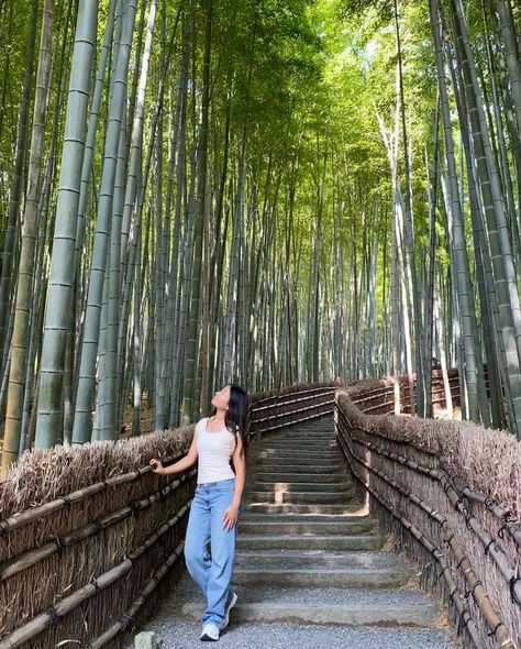 🪷 Bamboo Forest Kyoto, Arashiyama Bamboo Forest, Bamboo Forest, Kyoto Japan, Japan Travel, Kyoto, My Favorite, Forest, Japan