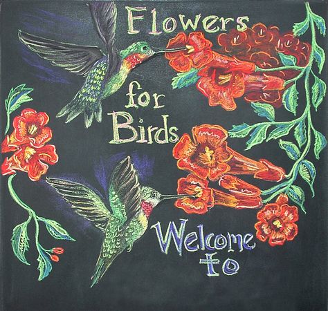 'Hummingbirds at the Trumpet Vine!' chalkboard art! #chalkboard #pastels #drawing Bird Chalkboard Art, Bird Chalk Art, Hummingbird Chalk Art, Tropical Chalkboard Art, Spring Flowers Chalkboard Art, Chalk Boarder Designs Spring, Chalkboard Butterfly, Door Panel Ideas, Spring Chalkboard Art