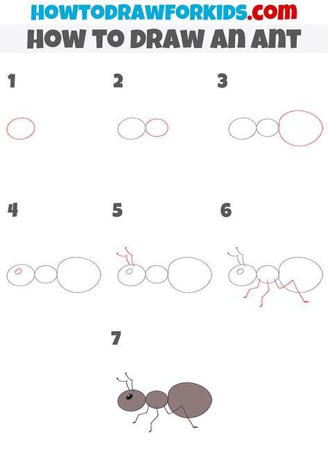 Bug Drawing Step By Step, How To Draw Bugs Step By Step, How To Draw Insects Step By Step, How To Draw An Ant, Ants Drawings, Ant Drawing Easy, Drawing Ants, How To Draw Bugs, Ant Cartoon