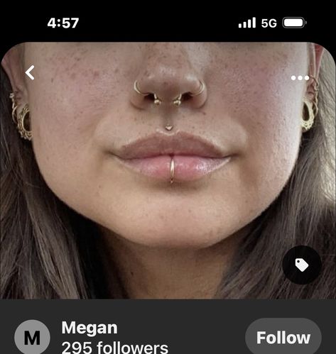 Septum Piercing Jewelry Bull, Double Nose Ring And Septum, Triple Nose Piercing Septum, Nose Piercing Combinations, Septum Piercing Small Nose, 2 Side Nose Piercing, Septum Piercing With Two Nose Studs, Dual Nose Piercing, Stud And Septum Piercing