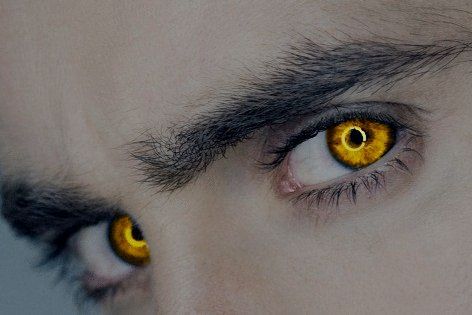 Werewolf Eyes Aesthetic, Wolf Eyes Aesthetic, Gold Eyes Aesthetic, Yellow Eyes Aesthetic, Werewolf Eyes, Nefertari Vivi, Werewolf Aesthetic, Wolf Eyes, Demon Eyes