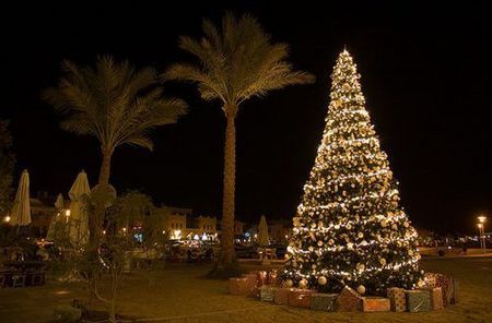 Christmas In EGYPT Christmas In Egypt, Xmas Around The World, Christmas Trees Decoration, Christmas Traditions Around The World, Christmas Display Ideas, Trees Decoration, Egypt Project, Celebrations Around The World, River Nile