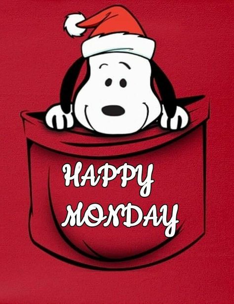 Good Morning Christmas, Happy Monday Quotes, Good Morning Snoopy, Good Morning Happy Monday, Snoopy Funny, Snoopy Images, Snoopy Wallpaper, Snoopy Quotes, Peanuts Christmas