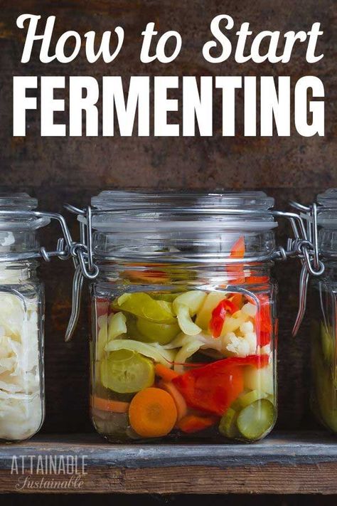 How To Make Fermented Foods, Ferment Vegetables, Attainable Sustainable, Fermenting Recipes, Fermented Vegetables Recipes, Fermenting Vegetables, Lacto Fermentation, Fermented Food Recipes, Fermented Recipes