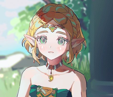 Link Zelda Art, Princesa Zelda, Zelda Funny, Fan Drawing, Zelda Twilight Princess, Link Zelda, Model Sheet, Zelda Art, Legend Of Zelda Breath