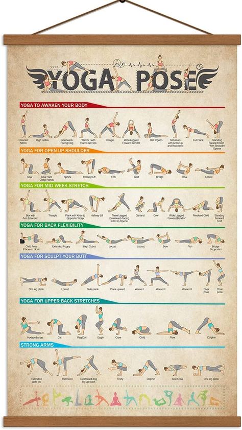 Full Body Workout Beginner, Hath Yoga, Gym Full Body Workout, Yoga Poses Poster, Yoga Poses Chart, Yoga Ideas, Back Flexibility, Yoga Hands, Full Body Workouts