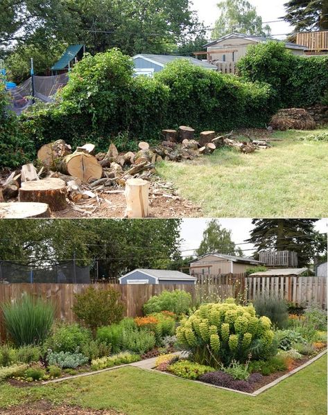 15 Before and After Pics That Show the Power of Time - Funny Gallery Front Yards Diy, Cottage Backyard, Front Landscape, California Backyard, Large Backyard Landscaping, Pavers Backyard, Backyard Remodel, Front Landscaping, Diy Backyard Landscaping