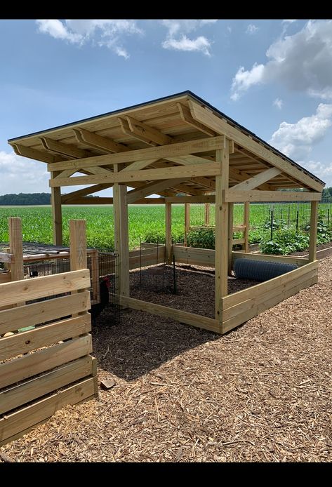 How to house meat bird in a stationary coop? | Page 3 | BackYard Chickens - Learn How to Raise Chickens Meat Bird Coop, Meat Chicken Coop, Meat Birds, How To Raise Chickens, Chicken Pen, Raise Chickens, Backyard Chickens, Chicken House, Meat Chickens