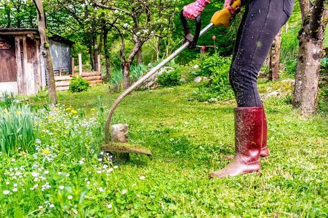 How to Use a Weed Whacker to Whip Through Your Landscaping Chores Yard Cleanup, Landscaping Equipment, Sweet Woodruff, Album Photo Scrapbooking, Garden Growing, Lawn Maintenance, Most Beautiful Gardens, Colorful Plants, Flowers Perennials