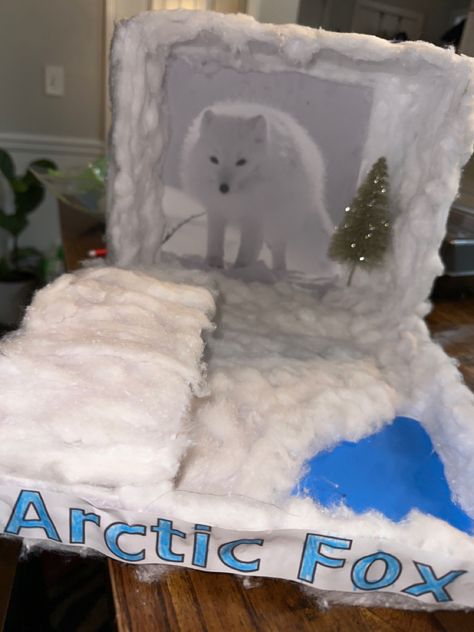 Fox Diorama, Artic Tundra, Polar Habitat, Diorama Ideas, Arctic Animals, Arctic Fox, Projects For Kids, Shoe Box, Polar Bear