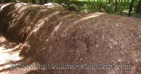 How We Make Leaf Mold (mulch) Leaf Molds How To Make, Leaf Mold Compost, Louisiana Gardening, Compost Ideas, Leaf Compost, Urban Permaculture, Start Composting, Leaf Mulch, Compost Mulch