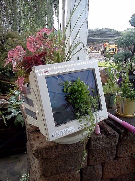 Magic Garden, Plant Aesthetic, Kew Gardens, Covent Garden, Nature Aesthetic, Green Aesthetic, Computer Monitor, Aesthetic Pictures, Sake