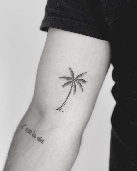 Bicep tattoo. Palm tree. By Sille Klinge Palm Tree Tattoo Bicep, Inner Arm Palm Tree Tattoo, Beach Bicep Tattoo, Palm Tree With Flowers Tattoo, Men’s Palm Tree Tattoo, Small Palm Tree Tattoo Men, Date Palm Tattoo, Men Palm Tree Tattoo, Hawaii Tattoos Men