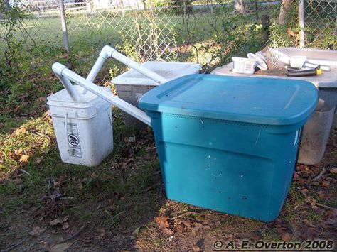 black soldier fly trap | ... wanted to share his DIY bin for harvesting black soldier fly larvae Black Soldier Fly Larvae Bin, Bsfl Bin, Black Soldier Fly Bin Diy, Red Worm Composting, Black Soldier Fly Larvae, Homestead Skills, Sustainable Homestead, Farming Ideas, Worm Bin