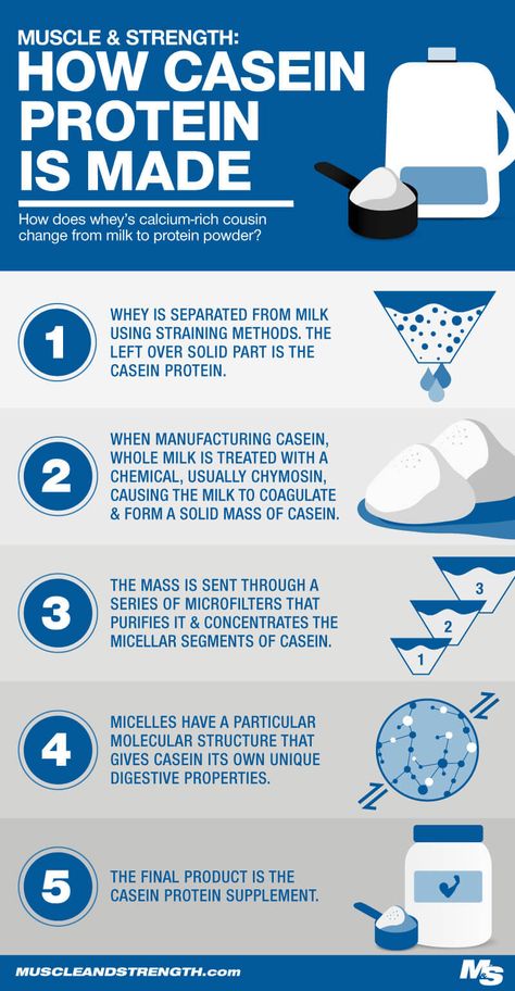 How Casein is Made Infographic Casein Protein Benefits, Things To Do Before Bed, Protein Guide, Basal Metabolic Rate, Casein Protein, Key To Losing Weight, Increase Muscle Mass, Protein Synthesis, Whey Protein Powder