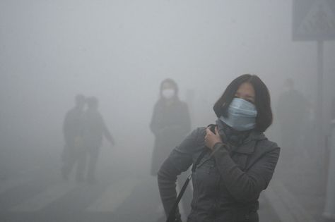 Girl Walks Through Smog In Beijing, Where Small-Particle Pollution Is 40 Times Over International Safety Standard Pencemaran Udara, China City, La Pollution, Harbin, Human Activity, Life Expectancy, Environmental Issues, Air Pollution, Air Quality