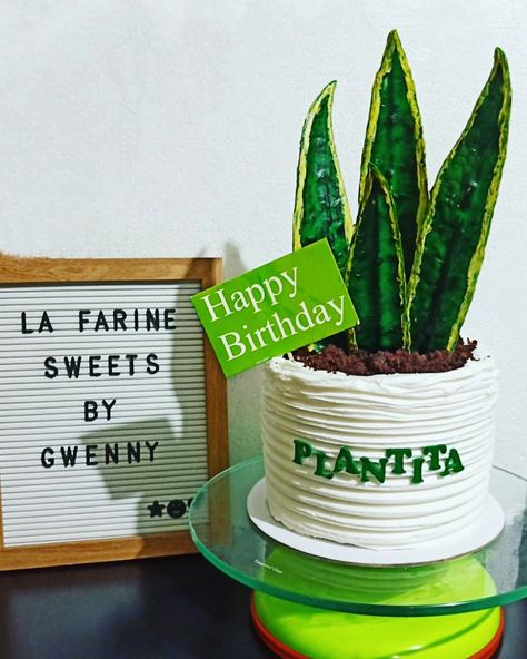 Snakeplant cake Plant Cake Ideas Minimalist, Plant Cake Design Birthday, Cake Plants Design, Plant Theme Cake, Plant Cake Design, Plant Themed Cake, Minimalist Birthday Cake For Women, Plant Themed Birthday, Plant Cakes Ideas