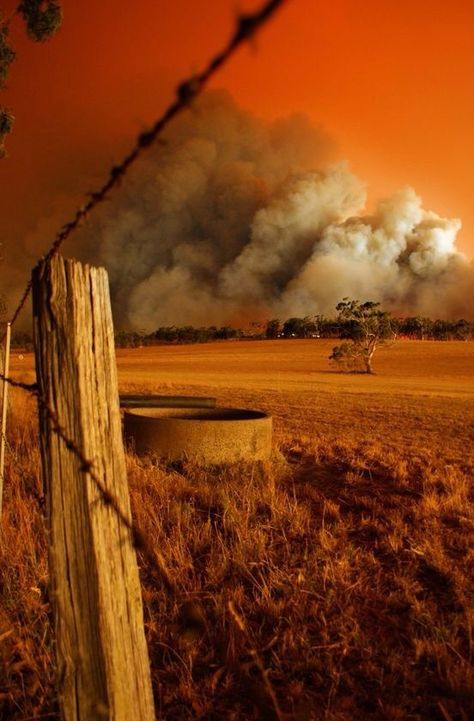 Bush Fire, Australia Landscape, Outback Australia, Australian Travel, Australian Bush, Land Of Oz, Forest Fire, Palau, Victoria Australia