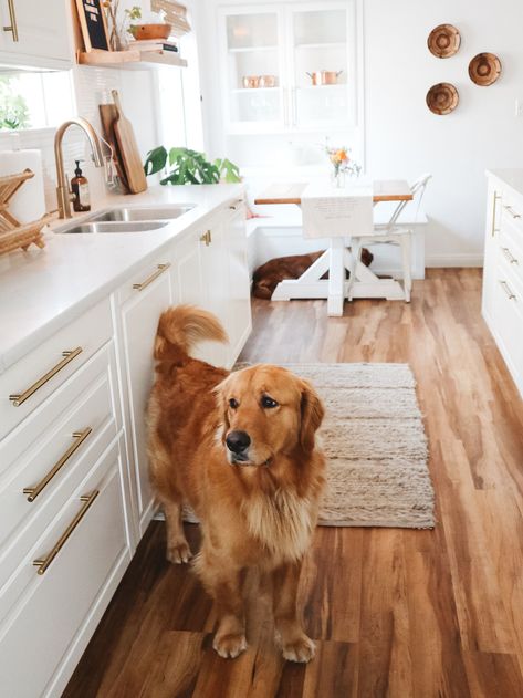 Vintage Details Meet Modern Design Inside Kristin Johns' Home Tour Kristin Johns, Vintage Details, Kitchen Farmhouse, Boho Home, Home Tour, Home Decor Kitchen, Home Interior, House Tours, Layout Design