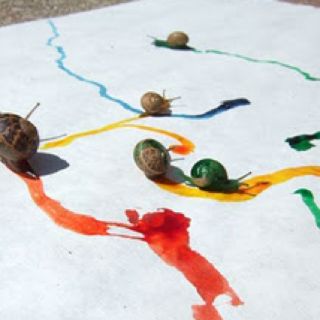 snail trails using food colouring? Pretty Bugs, Snail Art, Cheesecake Dip, On The Ground, Art Plastique, Food Coloring, Tumblr Funny, Creating Art, Funny Animals