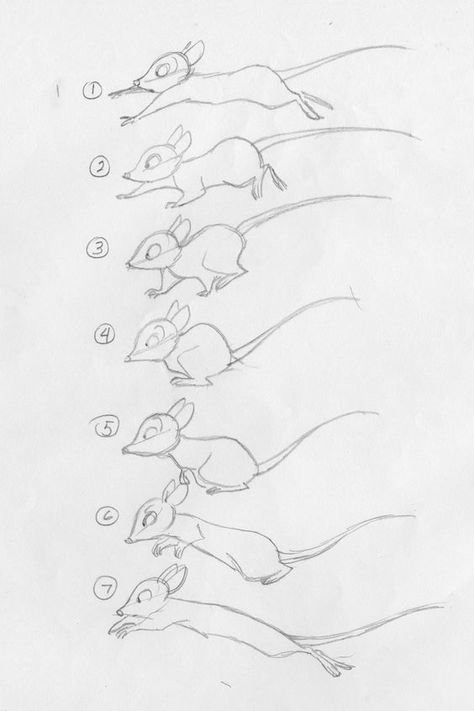 Content Pro, secret of nihm, mouse run cycle: Running Mouse Drawing, Don Bluth Character Design, Secret Of Nihm, How To Draw Animals, Animation Tips, Walk Cycle, Learn Animation, Mouse Illustration, Run Cycle