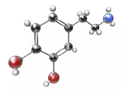 Bonds Definition and Examples in Chemistry Electron Affinity, Octet Rule, Chemical Bonds, Ionization Energy, Chemical Bonding, Ionic Bonding, Covalent Bonding, Chemical Bond, Science Chemistry