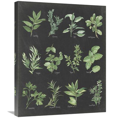 East Urban Home 'Herb Chart' on Black' Print on Canvas Size: Herb Chart, Paint Charts, Trendy Art Prints, Types Of Herbs, Black Wall Art, Trendy Art, Stock Paper, Fine Arts Posters, Big Canvas Art