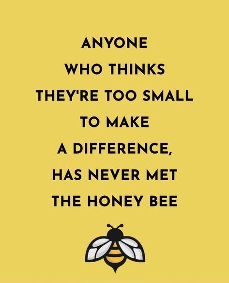 Honey Bee Sayings, Bee Quotes Wisdom, Bee Quotes Inspiration, Bee Quotes, Bee Themed Classroom, Bee Classroom, Honey Bee Decor, Bee Party, Bee Inspired