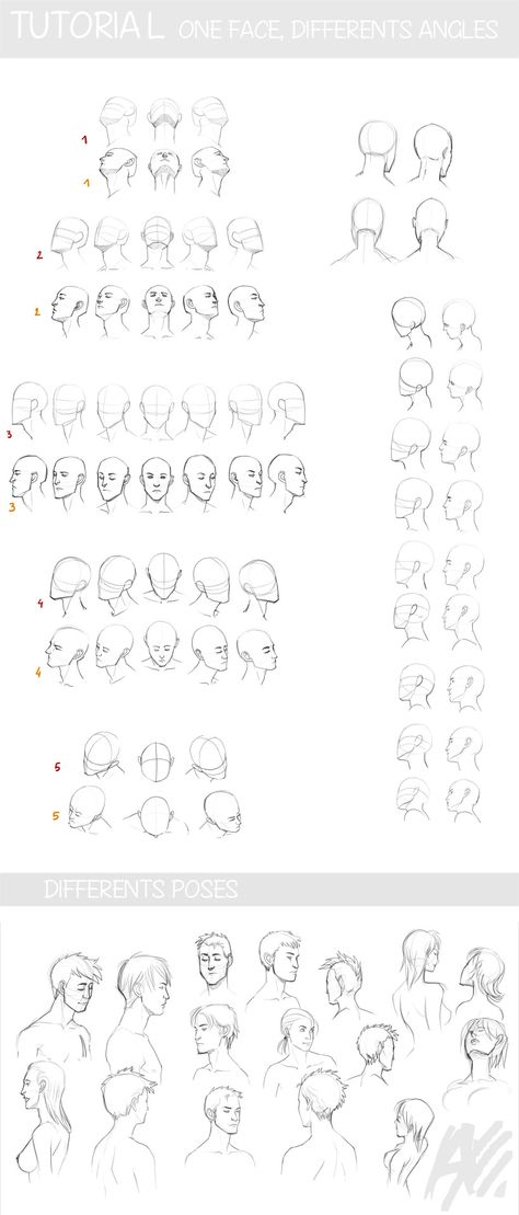 artist-refs:  TUTO - face and perspective by the-evil-legacy Face Perspective Reference, Anime Heads, Art Fundamentals, How To Draw Anime, 얼굴 드로잉, 얼굴 그리기, Drawing Heads, Drawing Faces, Draw Anime