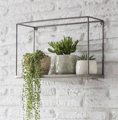 Regal Industrial, Botanical Display, Box Shelf, Hanging Plants Indoor, Masonry Wall, Box Shelves, Trailing Plants, Herb Pots, Décor Boho