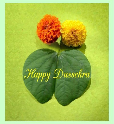 A time for celebration. A time for victory of good over bad. A time when world see the example of power of good. Let us continue the same ‘True’ spirit. Blessing of Dussehra. #blessings Happy Dassera Quote, Dassera Festival Quotes, Happy Dassera Post, Dasera Celebration Status, Happy Daseraha, Happy Dashera Images, Happy Dashera, Diwali Dp, Happy Dasara