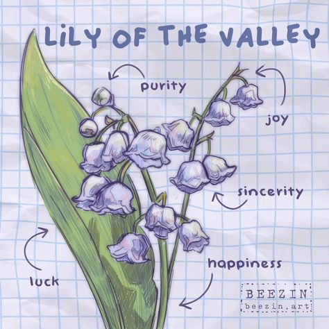 This is why I asked for flower names on my story :3 (you can still leave more in the comments!!) But yeah I'm planning to draw flowers so I could incorporate them into my art. At the same time I'm researching their correspondences <3 Flower Drawing With Names, Flower Drawing Lily Of The Valley, Lily Of Valley Meaning, Meaning Of Lily Flower, Types Of Flowers Drawing With Names, Water Lily Flower Meaning, Flower Names, Different Flowers, Lily Of The Valley