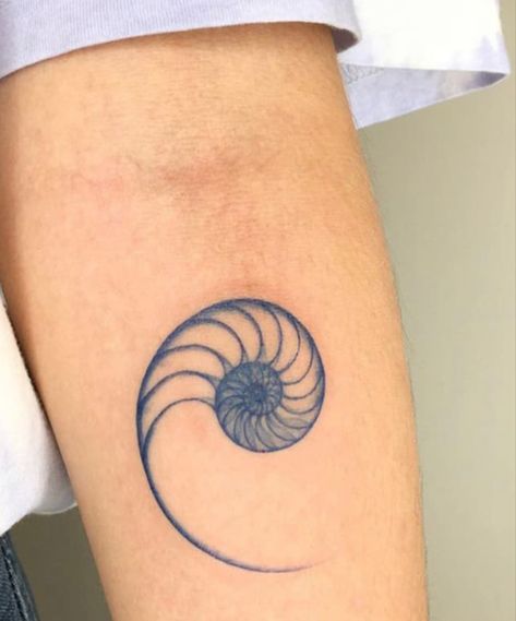 Nautilus Tattoo Sacred Geometry, Tropical Friend Tattoos, Nautical Patchwork Tattoo, Nautalis Shell Tattoo, Spiral Of Life Tattoo, Fibanocci Sequence Tattoos, No Line Tattoos, Salmon Tattoo Design, Spiral Tattoo Designs