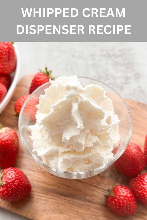 Whip Cream Dispenser Recipes, Whipped Cream Dispenser, Whipped Cream In Canister, Whipped Cream Canister Recipes, Whipped Cream Dispenser Recipes, How To Make Flavored Whipped Cream, Whip Cream Recipe, Homemade Flavored Whipped Cream, Whipped Cream Recipe