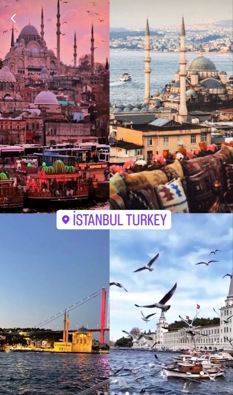 Istanbul Turkey Travel, Turkey Trip, Travel Infographic, Holiday Travel Destinations, Top Places To Travel, Travel Inspiration Destinations, Adventure Travel Explore, Dream Vacations Destinations, Travel City