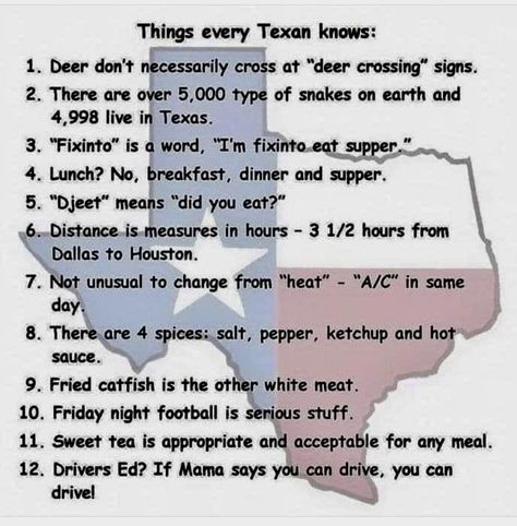 Texas Jokes, Southern Humor, Texas Humor, Texas Baby, Only In Texas, Texas Life, Texas Living, Country Jokes, Southern Sayings