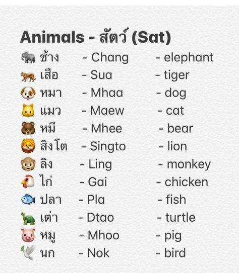 Thai Vocabulary Words, Basic Thai Words, Thailand Language Learning, Thailand Words, Thai Language Learning, Thai Learning, Thai Phrases, Thailand Language, Thai Alphabet