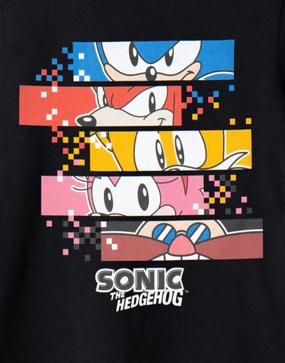 Sonic The Hedgehog — Vanilla Underground Black Sonic, Sonic T Shirt, Pixel Characters, Hedgehog Movie, Classic Sonic, Video Game Posters, Duos Icons, Sonic Franchise, Blue Hedgehog