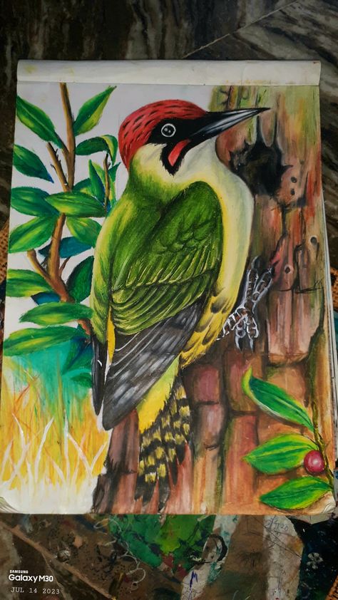 Still Life Drawing Oil Pastels, Colour Pencil Drawing Landscape, Soft Pastel Scenery, Colour Pencil Art Landscapes, Bird Composition, Birds Scenery, Students Drawing, Scenery Drawing For Kids, Village Drawing